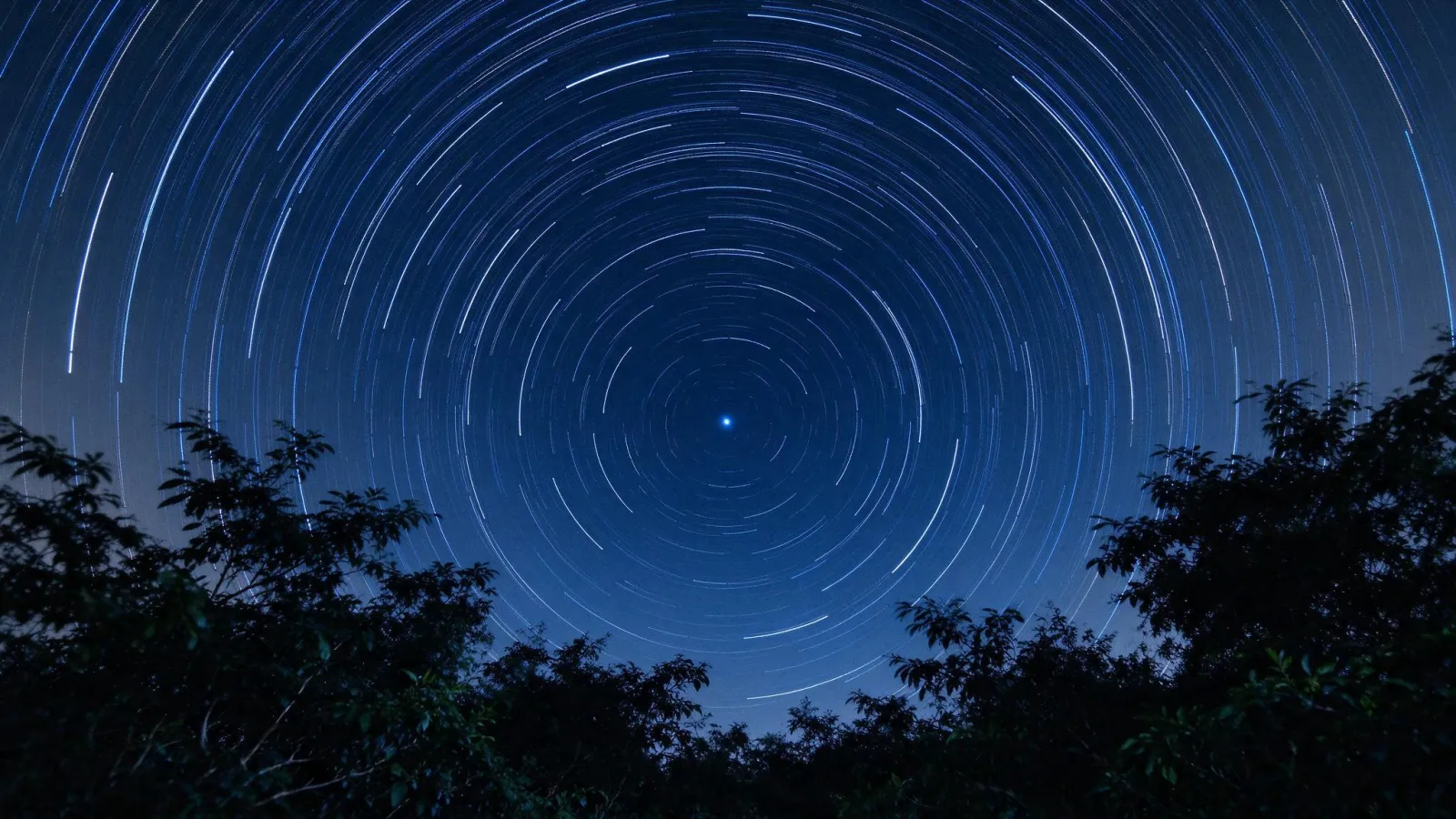 Ảnh minh hoạ Chụp vệt sao (star trail): ảnh vệt sao hình vòng tròn đồng tâm quanh sao Bắc Cực, phía dưới có bóng cây làm tiền cảnh
